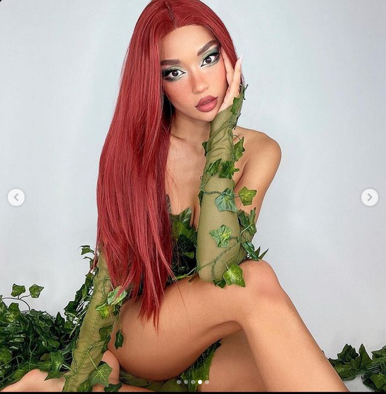 Full Poison Ivy Monokini Gown Dress Costume Rave Bra Rave Wear Cosplay Halloween