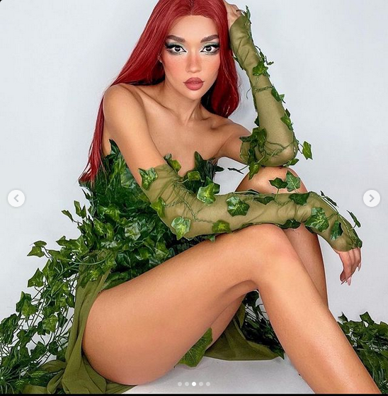 Full Poison Ivy Monokini Gown Dress Costume Rave Bra Rave Wear Cosplay Halloween