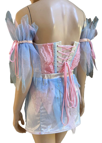 Pink and Sky Blue Swan Corset Skirt and Arm Cuffs