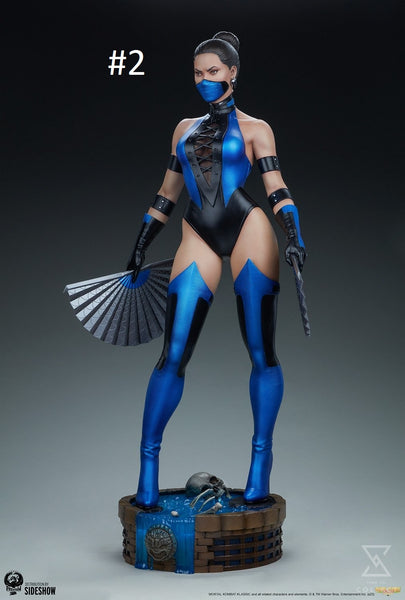 Preorder Costume - Video Game - Mortal Combat Character - Kitana