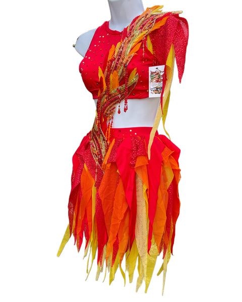 Ember Flame Phoenix Monokini Fairy Dance Costume Rave Bra