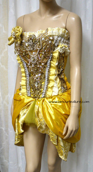 Belle Corset and Skirt Costume